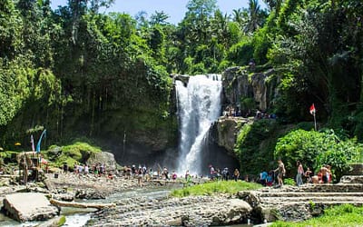 The Beauty of Bali Tour