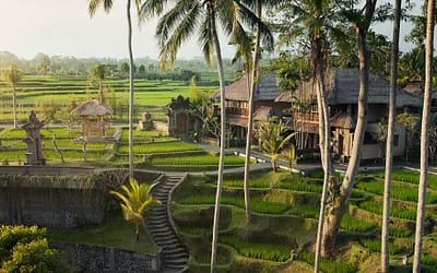 Ubud Village