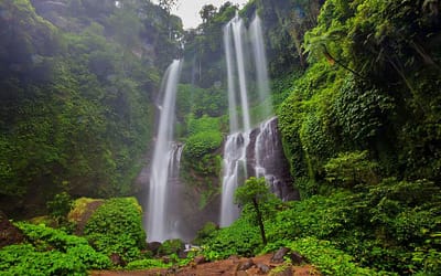 Best Waterfalls Tour in Bali